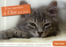 Une question de chats par jour