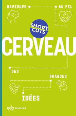 Cerveau