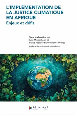 L'implémentation de la justice climatique en Afrique : Enjeux et défis