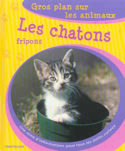 Gros plan sur les animaux 06. les chatons fripons