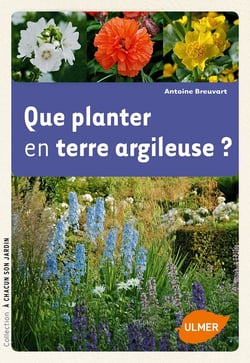 Que planter en terre argileuse ?
