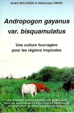Andropogon gayanus var bisquamaltus une culture fourragere pour les regions tropicales
