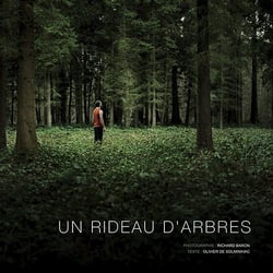 Un rideau d'arbres