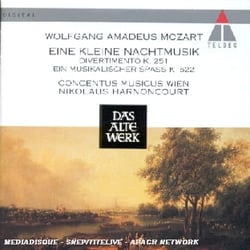 Eine kleine nachtmusik-Ein musikalisscher spass