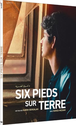 Six pieds sur terre