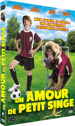Un amour de petit singe