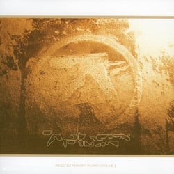 Selected ambient works II