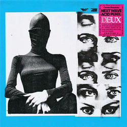 Next Wave Acid Punx Deux: Chapter 2