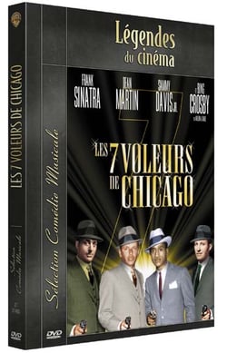 Les 7 voleurs de chicago
