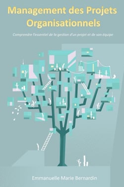 Management des projets organisationnels : Comprendre l'essentiel de la gestion d'un projet et de son équipe
