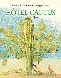 hotel cactus