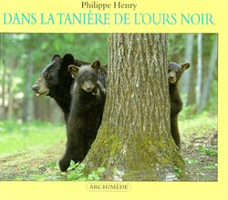 Dans la taniere de l ours noir