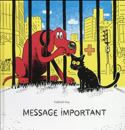 MESSAGE IMPORTANT