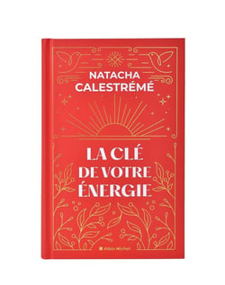 La Clé de votre énergie : 22 protocoles pour vous libérer émotionnellement