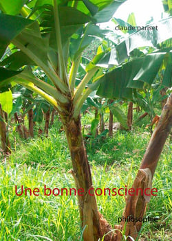 Une bonne conscience - philosophie