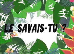 Le savais-tu ?