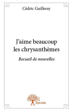 J'aime beaucoup les chrysanthèmes