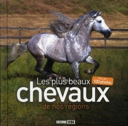 Les plus beaux chevaux de nos régions