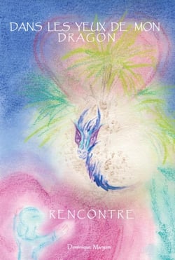 DANS LES YEUX DE MON DRAGON : Rencontre