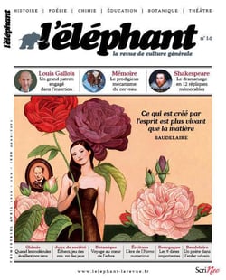 L'éléphant n.14