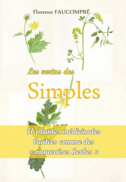 Les vertus des simples - 11 plantes médicinales traitées comme des " mauvaises herbes "
