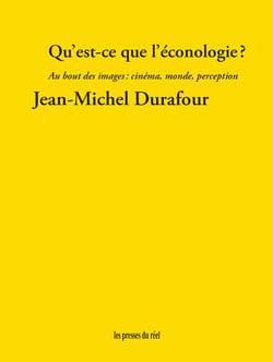 Qu'est-ce que l'éconologie ? : Au bout des images : cinéma, monde, perception