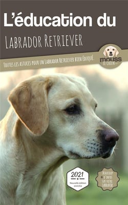 L'éducation du Labrador Retriever : toutes les astuces pour un Labrador Retriever bien éduqué