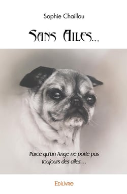 Sans Ailes... : Parce qu'un Ange ne porte pas toujours des ailes...