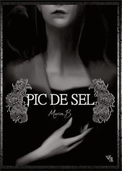 Pic De Sel