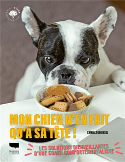 Mon chien n'en fait qu'à sa tête ! les solutions bienveillantes d'une coach comportementaliste !