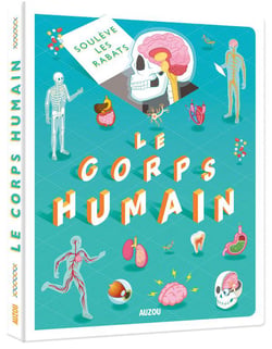 Soulève les rabats : corps humain