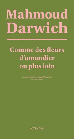 Comme des fleurs d'amandier ou plus loin