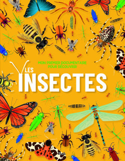 Mon premier documentaire pour découvrir : Les Insectes