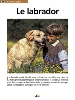 Le labrador