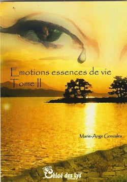 Emotions essence de vie t.2