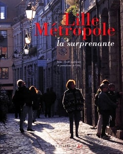 Lille métropole - la surprenante