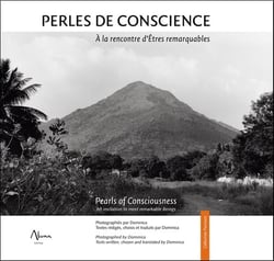 Perles de conscience - à la rencontre d'êtres remarquables
