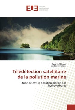 Teledetection satellitaire de la pollution marine