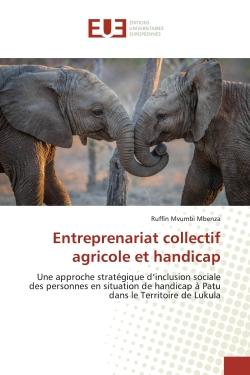 Entreprenariat collectif agricole et handicap : Une approche stratégique d'inclusion sociale des personnes en situation de handicap à Patu...