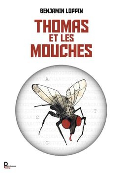 Thomas et les mouches