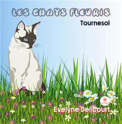 Les chats fleuris : tournesol