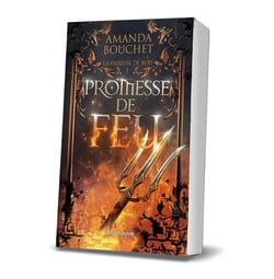 La faiseuse de roi Tome 1 : Promesse de feu