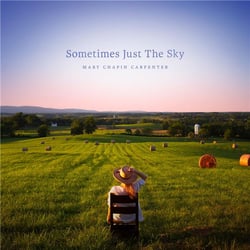 Sometimes just the sky