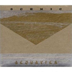 Recordings from live performance 1981-1983