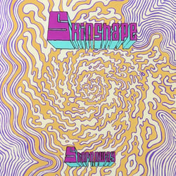 Stornoway/Can You Play Me A Song ?