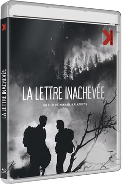 La Lettre inachevée