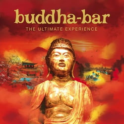 A Night At Buddha Bar Hotel