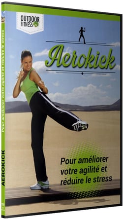Aerokick