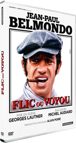 Flic ou voyou