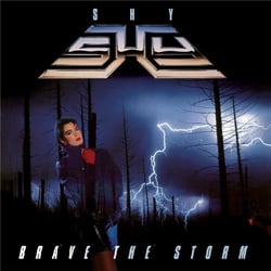Brave the storm - édition collector